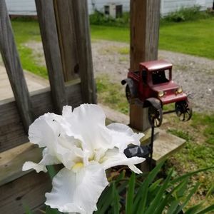 Meet your Posher, Darcie